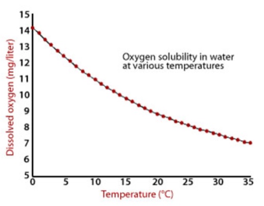 Oxygen Solubility vs temperature